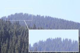 Beispiel für chromatische Aberration mit dem Sigma AF 70-300mm