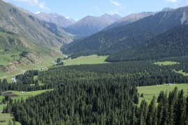 Panoramablick auf die lokale Schlucht (Djety-Oguz)