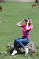 Brennweite: 300 mm; Belichtungszeit: 1/500; Blende: f8; ISO: 320