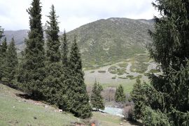 Fluss und östlicher Hang der Schlucht
