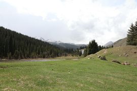 Natur der Grigorjew-Schlucht